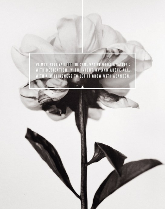 65d4be3bc9b25e74de36b0425ccee30a