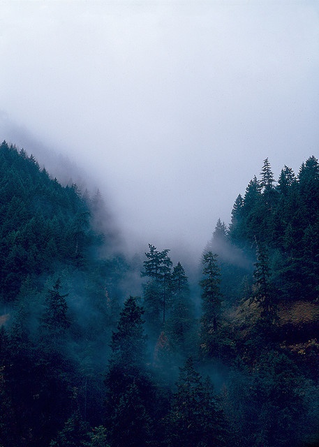 4e5a26ae20a7d5ee5865a932fe70c871